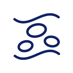 Icon Cholesterol MINAMI